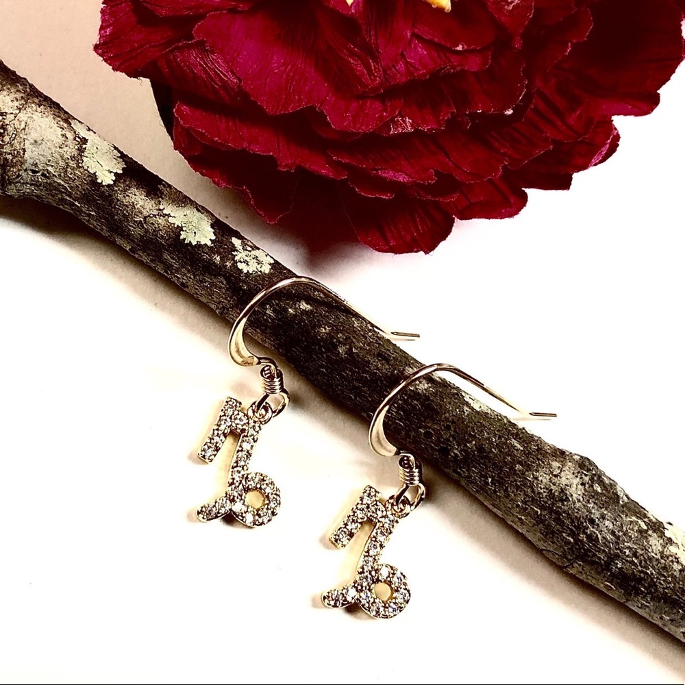 Capricorn Earrings, Constellation, Zodiac - Picture 2 of 6